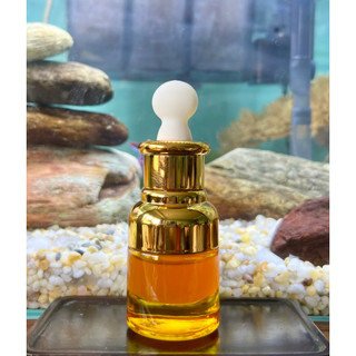 Tinh Dầu Ôn Cứu Vạn Đại - Tinh Dầu Ôn Cứu 10ml / 2ml