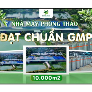[ COMBO 2 LÍT ] Nước cốt Nhàu nguyên chất Phong Thảo