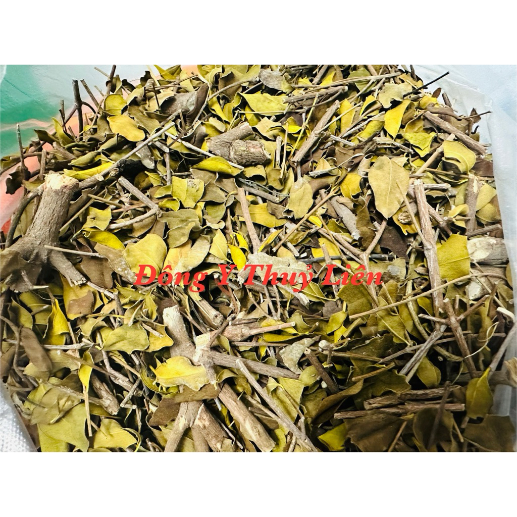 TANG KÝ SINH(tầm gửi cây dâu) chuẩn Loại 1 [500g]