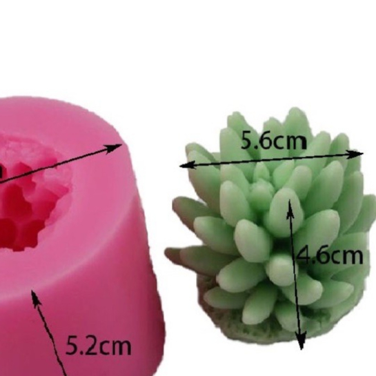 Khuôn silicon sen đá mã SDNN1 đại