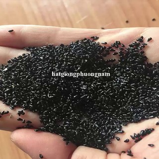2 Gram - Hạt Giống May Mắn Phương Nam