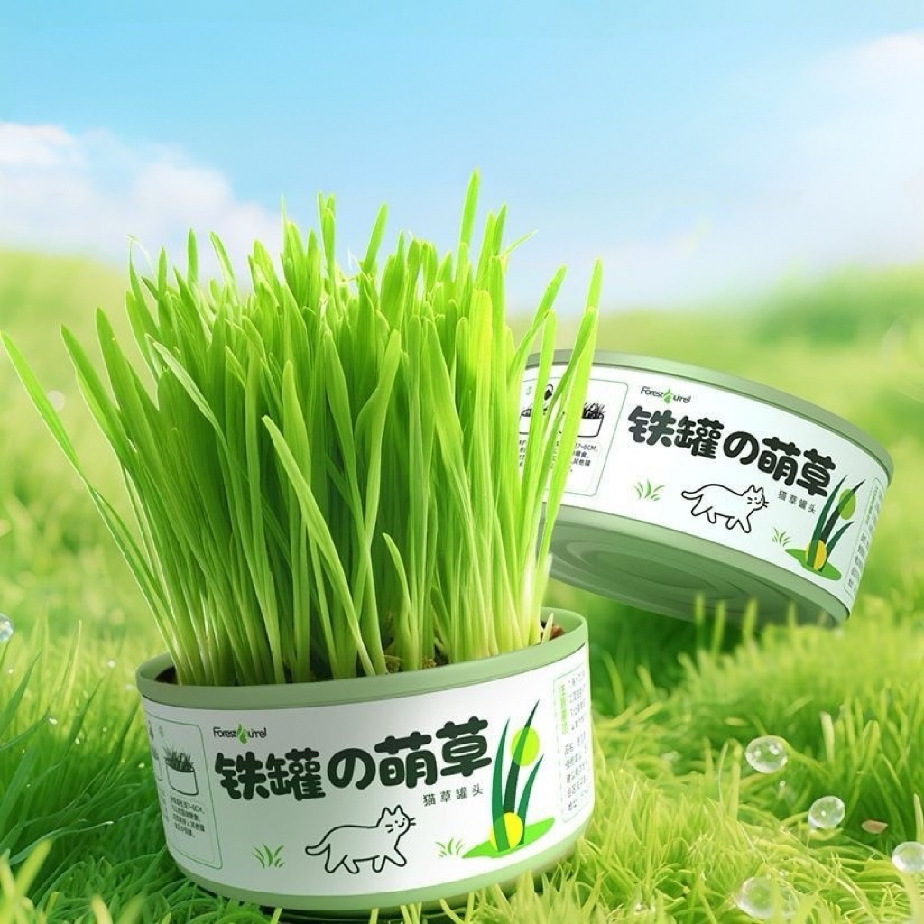 🌾BỘ KIT TRỒNG CỎ CHO MÈO👍😘