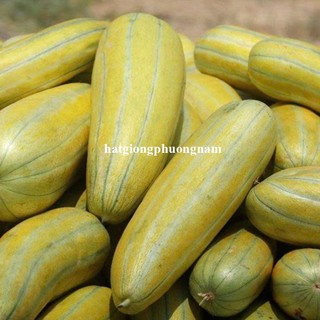 100 Gram ≈ 6000 Hạt - Hạt Giống Dưa Gang Phương Nam