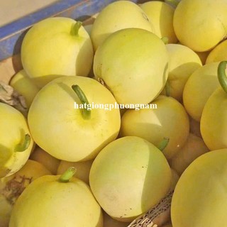 Hạt Giống Dưa Lê Các Loại Phương Nam