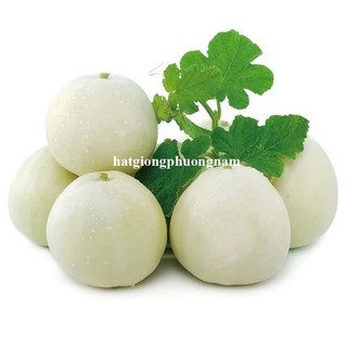 Hạt Giống Dưa Lê Các Loại Phương Nam