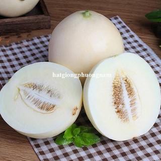 Hạt Giống Dưa Lê Các Loại Phương Nam