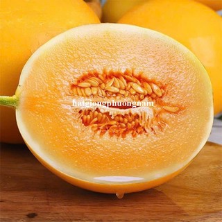 10 Hạt - Hạt Giống Dưa Lê Kim Hoàng Hậu / Hoàng Đế  F1 Phương Nam