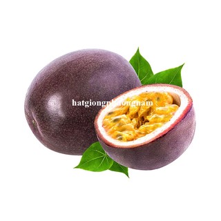 2 Gram - Hạt Giống Chanh Dây Phương Nam