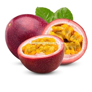 2 Gram - Hạt Giống Chanh Dây Phương Nam