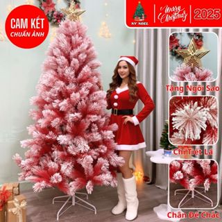  Cây Thông Noel Cao 1M5–2M4 Cước Màu Đỏ Phủ Tuyết Trang Trí Giáng Sinh Gia Đình Văn Phòng Khách Sạn 