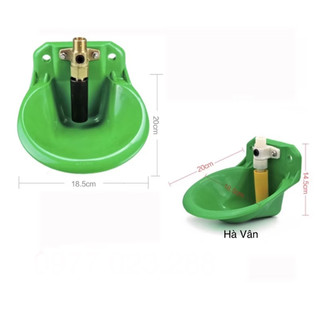 Máng uống nước tự động cho dê cừu
