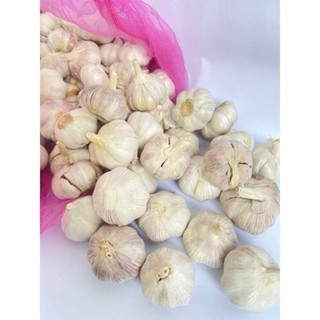 tỏi / tỏi lụa sạch 1kg