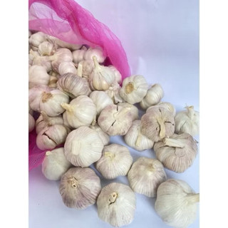 tỏi / tỏi lụa sạch 1kg