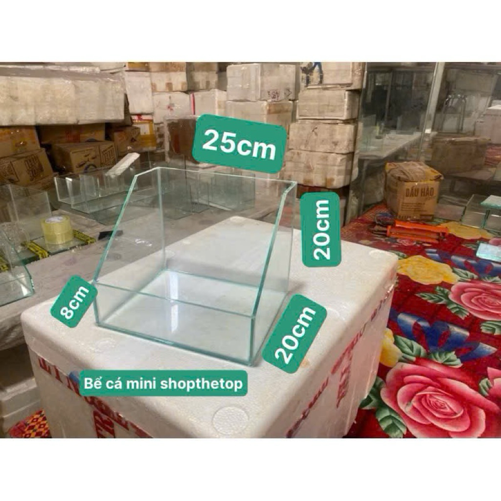 bể cá bán cạn d25*20*20 mặt trước 7cm