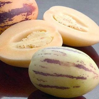 Chậu Dưa Pepino Tím – Cây Giống Ăn Trái Độc Lạ, Trái Ngọt Thanh Mát, Dễ Trồng