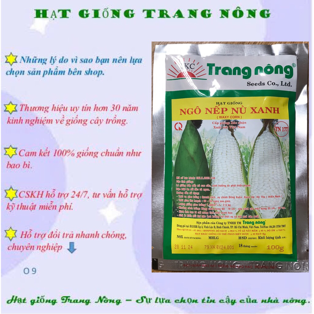 Hạt giống bắp nếp nù dẻo ngọt, ngô nếp nù Trang Nông 100gr, trồng quanh năm, năng suất cao
