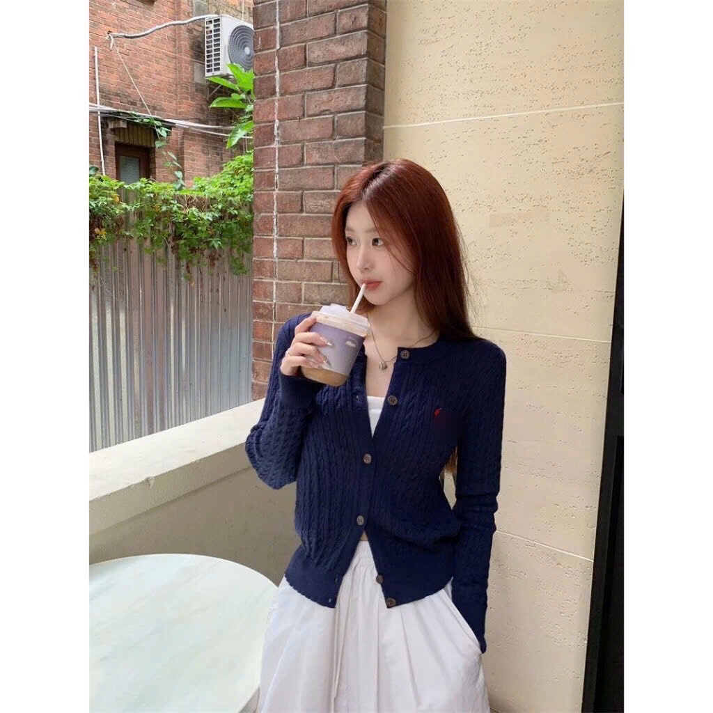 Áo Cardigan Len Dệt Kim Mỏng Cổ Tròn Dài Tay Dáng Ôm Vừa Người Hàng Qccc Phối Thêu Ngựa Ngực  Thừng Ngựa Tongkh | BigBuy360 - bigbuy360.vn