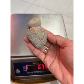 100g Hải sâm dừa xuất khẩu size lớn 3-4 con/100gr_dùng chế biến món ăn.
