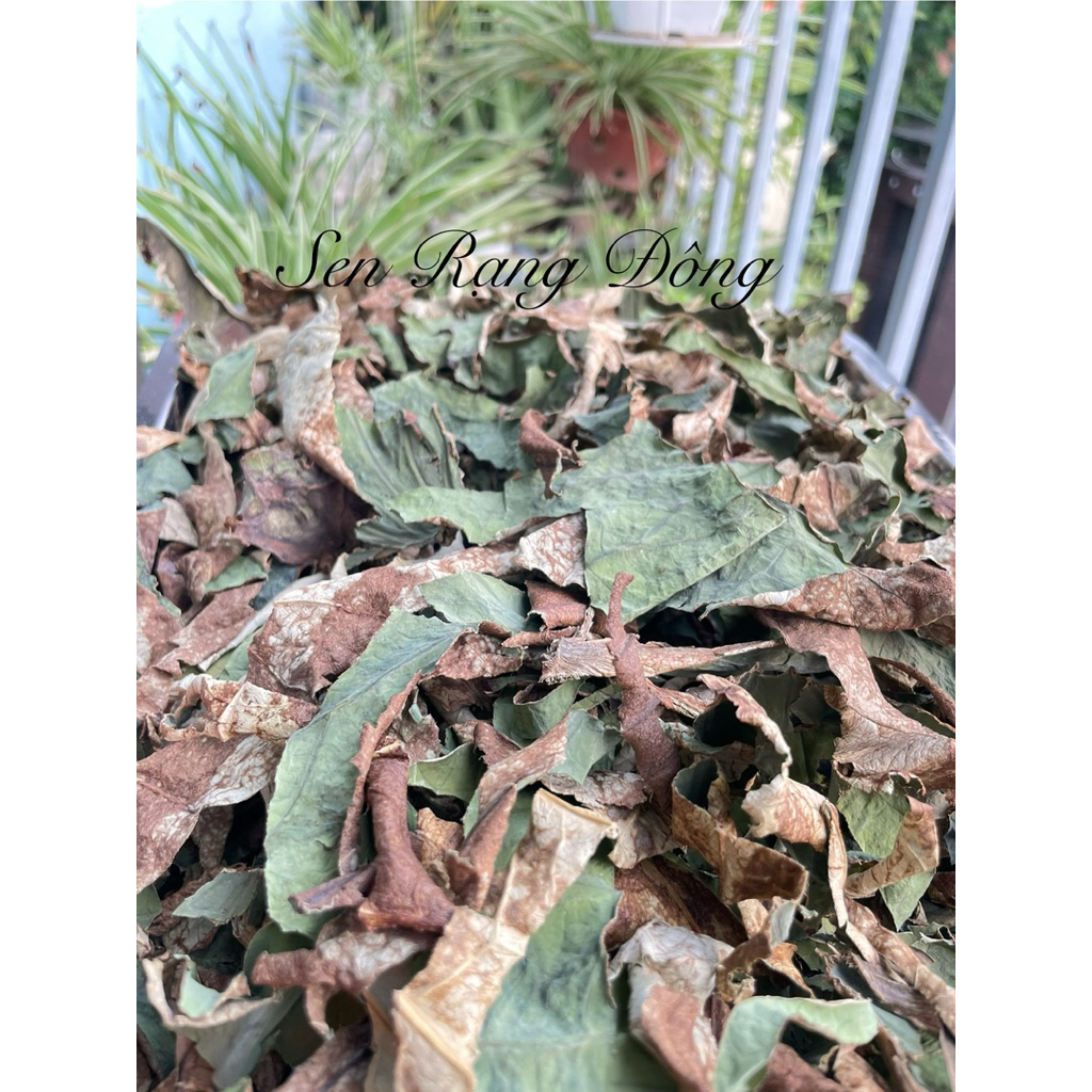 😍 Lá Sen khô - Trà lá sen giảm cân healthy🥰