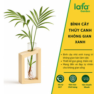 Bình trồng cây thủy canh Teraum kèm đến gỗ, bình cây trang trí văn phòng, bàn làm việc