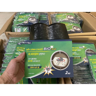Combo 10 Bẫy Keo Dính Chuột Hàn Quốc – Bio Trap Siêu Dính Loại Xịn