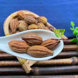 Kha Tử ( túi 100gr ) Khô Sạch  -  ( Giảm ho hiệu quả )
