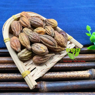 Kha Tử ( túi 100gr ) Khô Sạch  -  ( Giảm ho hiệu quả )