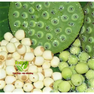 Hạt Sen Khô ,Sạch ,Thơm ( 100gr) Thảo dược Đặc sản rừng ĐSR