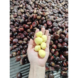 1kg hạt dẻ tươi hàng loại 1(cơm vàng,bở,ngọt,chắc hạt)