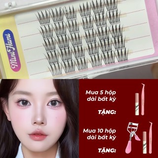 Lông mi giả Thần Tượng Hàn Quốc IDol ACE Mini Hami mi cụm tách sợi mềm mịn tự nhiên tái sử dụng