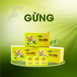  Trà Gừng Hoàng Thảo Mộc Túi lọc 