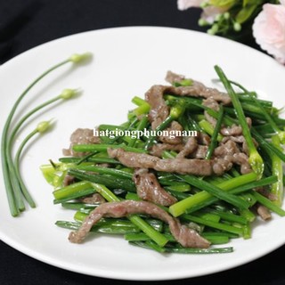 1 Gram - Hạt Giống Bông Hẹ Phương Nam