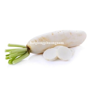 20 Gram - Hạt Giống Củ Cải Trắng Phương Nam