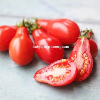 30 Hạt - Hạt Giống Cà Chua Cherry Lê Đỏ Phương Nam
