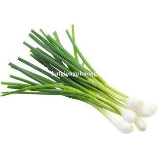 2 Gram - Hạt Giống Hành Lá Phương Nam