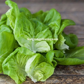 2 Gram - Hạt Giống Xà Lách Búp (Đăm) Phương Nam