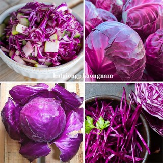 0,5 Gram - Hạt Giống Bắp Cải Tím Phương Nam