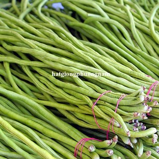 20 Gram - Hạt Giống Đậu Đũa Bụi Phương Nam