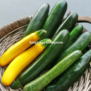 2 Gram - Hạt Giống Bí Ngòi (Thạch Anh + Xanh) Op Mix Phương Nam