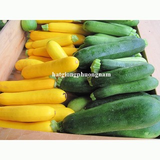 2 Gram - Hạt Giống Bí Ngòi (Thạch Anh + Xanh) Op Mix Phương Nam