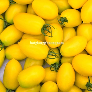 10 Hạt - Hạt Giống Cà Chua Cherry Vàng F1 Phương Nam