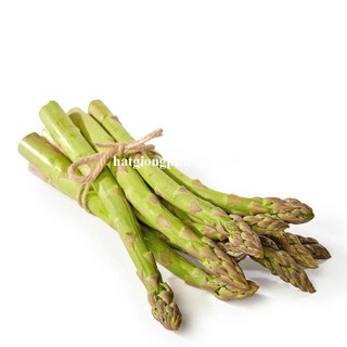 0.5 Gram - Hạt Giống Măng Tây Chịu Nhiệt Năng Suất Khủng Phương Nam