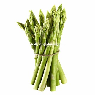 0.5 Gram - Hạt Giống Măng Tây Chịu Nhiệt Năng Suất Khủng Phương Nam