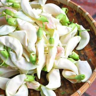 50 Hạt - Hạt Giống So Đũa Phương Nam