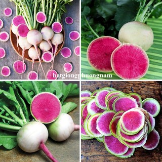 0,5 Gram - Hạt Giống Củ Cải Ruột Dưa Phương Nam