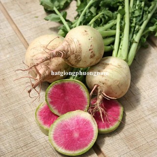 0,5 Gram - Hạt Giống Củ Cải Ruột Dưa Phương Nam