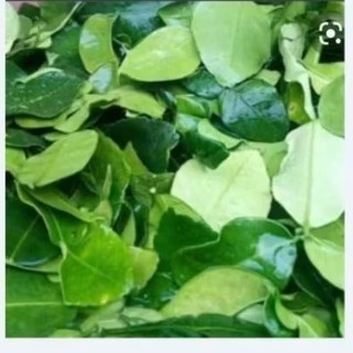Lá chanh tươi 50g