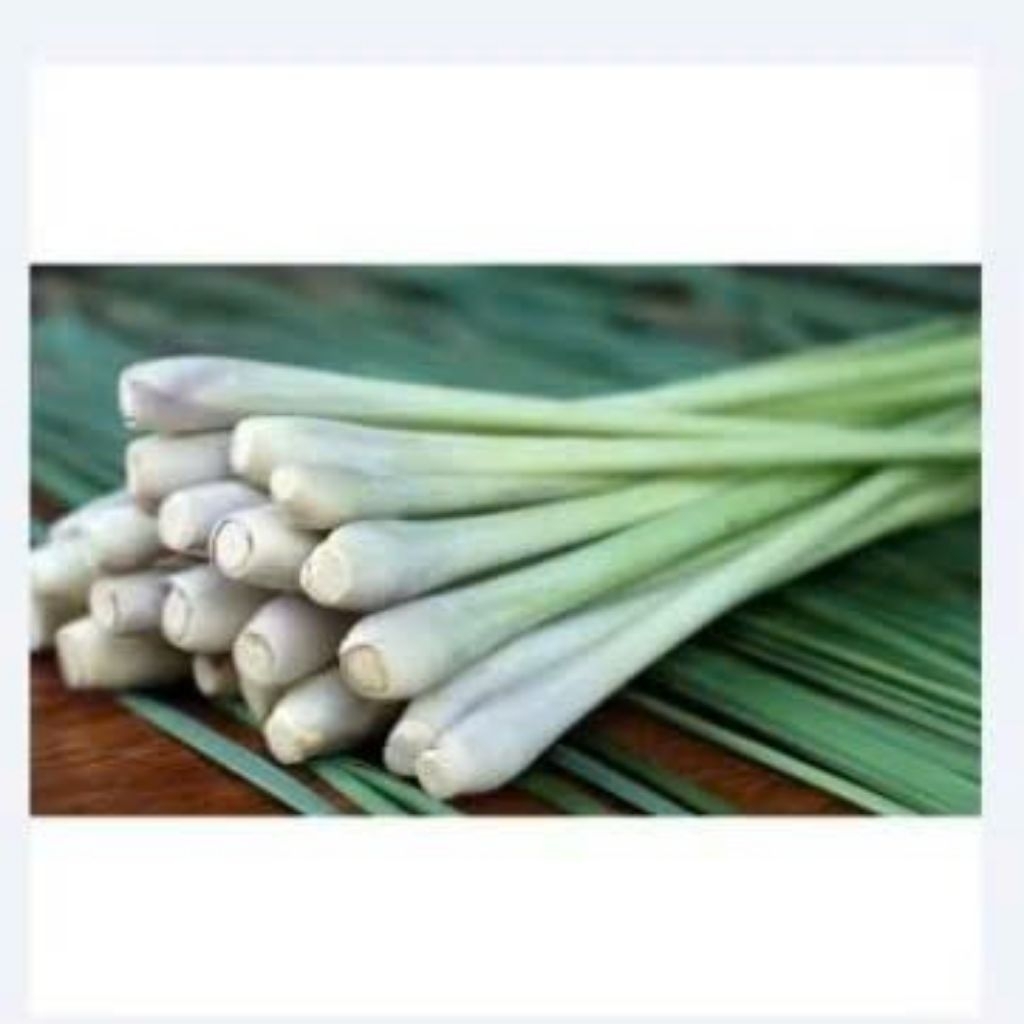 Sả cây tươi
