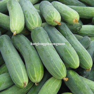 2 Gram - Hạt Giống  Dưa  Leo Phương Nam