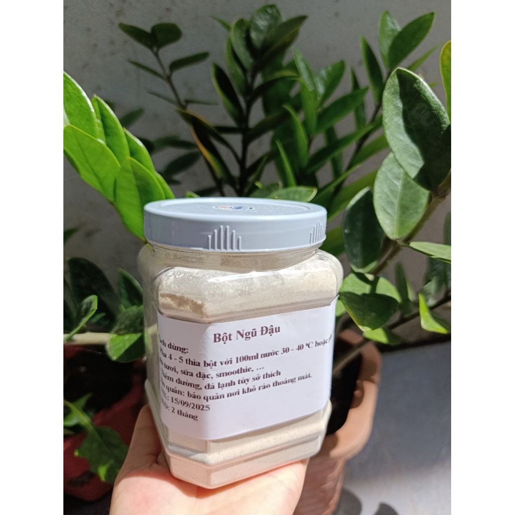 Bột ngũ đậu mầm (bột protein(đạm) thực vật)